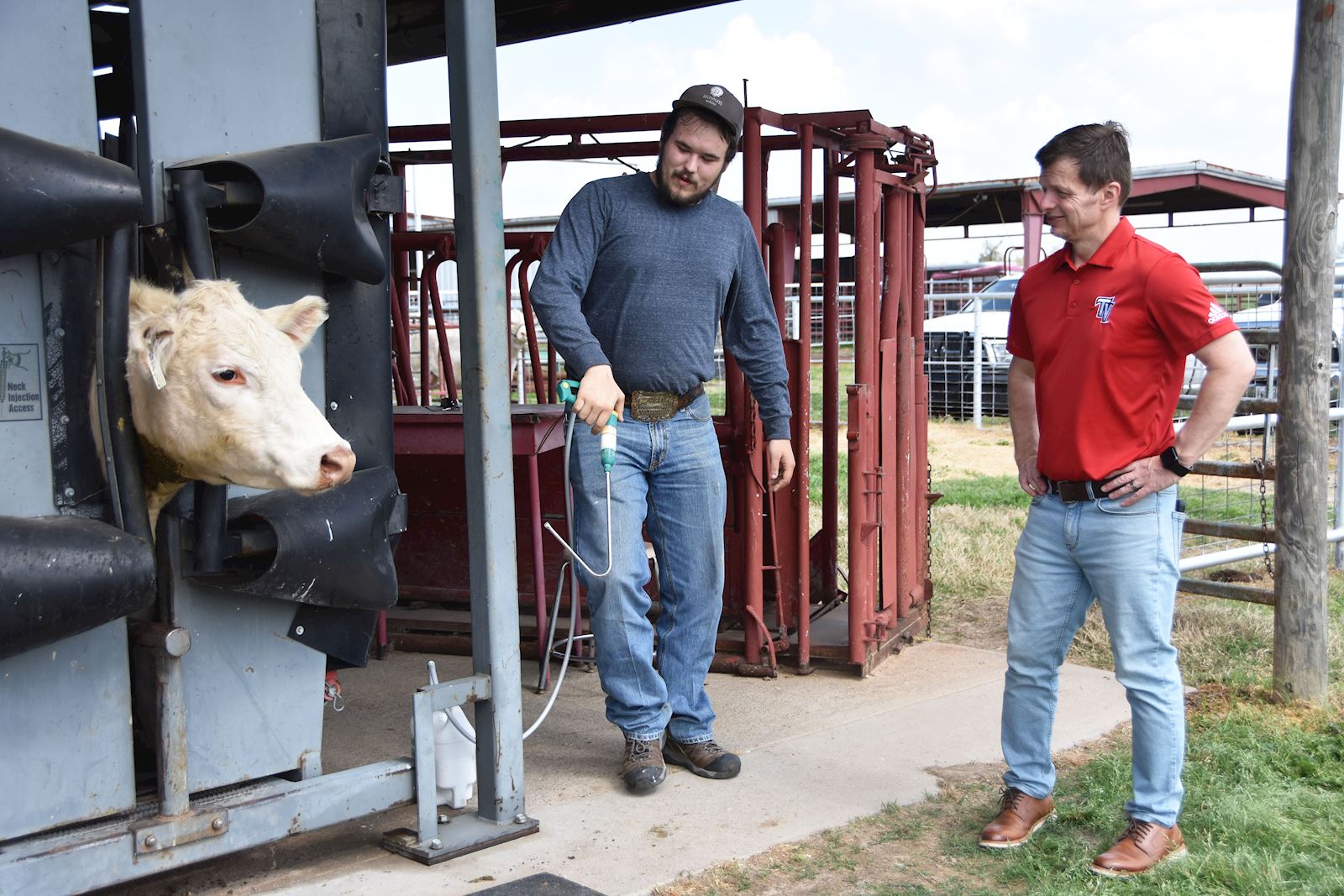 President Morrison works among ranch students.                                                                                              